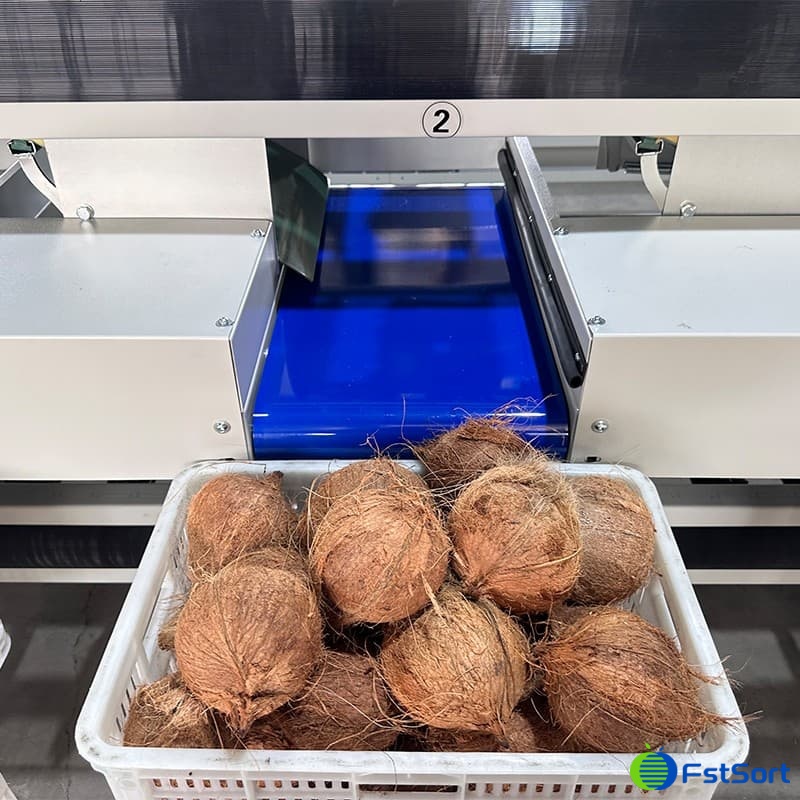 images/1741069036914coconut sorting machine.jpg